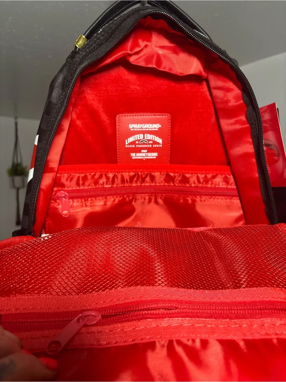 Sprayground stand out